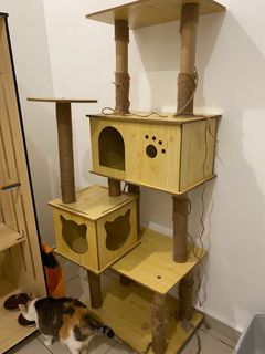 (Category: ) located in . Submitted by donashi (Listing ID 1384254826, Image 1). Description: .