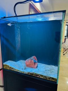 (Category: ) located in . Submitted by arunitsec (Listing ID 1384309224, Image 1). Description: .