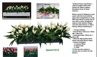 (Category: ) located in . Submitted by altonflowerscomm (Listing ID 1384425129, Image 1). Description: .