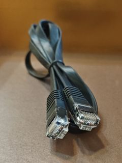 RJ45 至 RJ45 扁綫