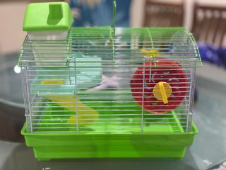 (Category: ) located in . Submitted by the_poodle (Listing ID 1387748826, Image 1). Description: .