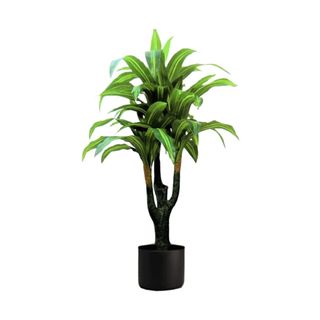 (Category: ) located in . Submitted by altonflowerscomm (Listing ID 1387795101, Image 1). Description: .