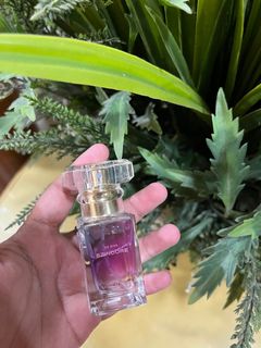(Category: ) located in . Submitted by Beatrice_ (Listing ID 1387904120, Image 1). Description: .