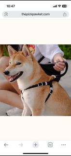 (Category: ) located in . Submitted by in.liquidation (Listing ID 1387761979, Image 1). Description: .