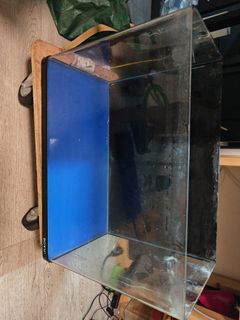 （分類：）位於 。 由 mingevo97697 提交（商品編號 1388072986，圖片 1）。簡介： 。