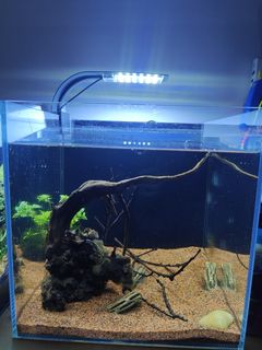 (Category: ) located in . Submitted by crystal_blue (Listing ID 1387984677, Image 1). Description: .