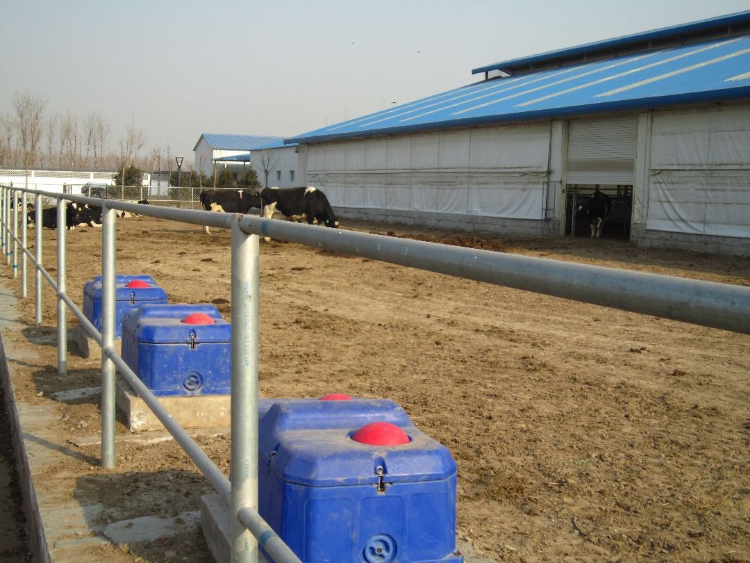 Cattle Water Trough Animal Drinker (Category: Pet Leashes & Harnesses) located in Canberra. Submitted by luoc2215449477 (Listing ID 1387973146, Image 3). Description: Cold water cow drinking water heat tank .