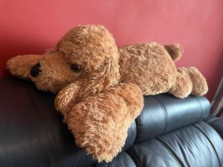 (Category: ) located in . Submitted by joanllc (Listing ID 1387938606, Image 1). Description: .