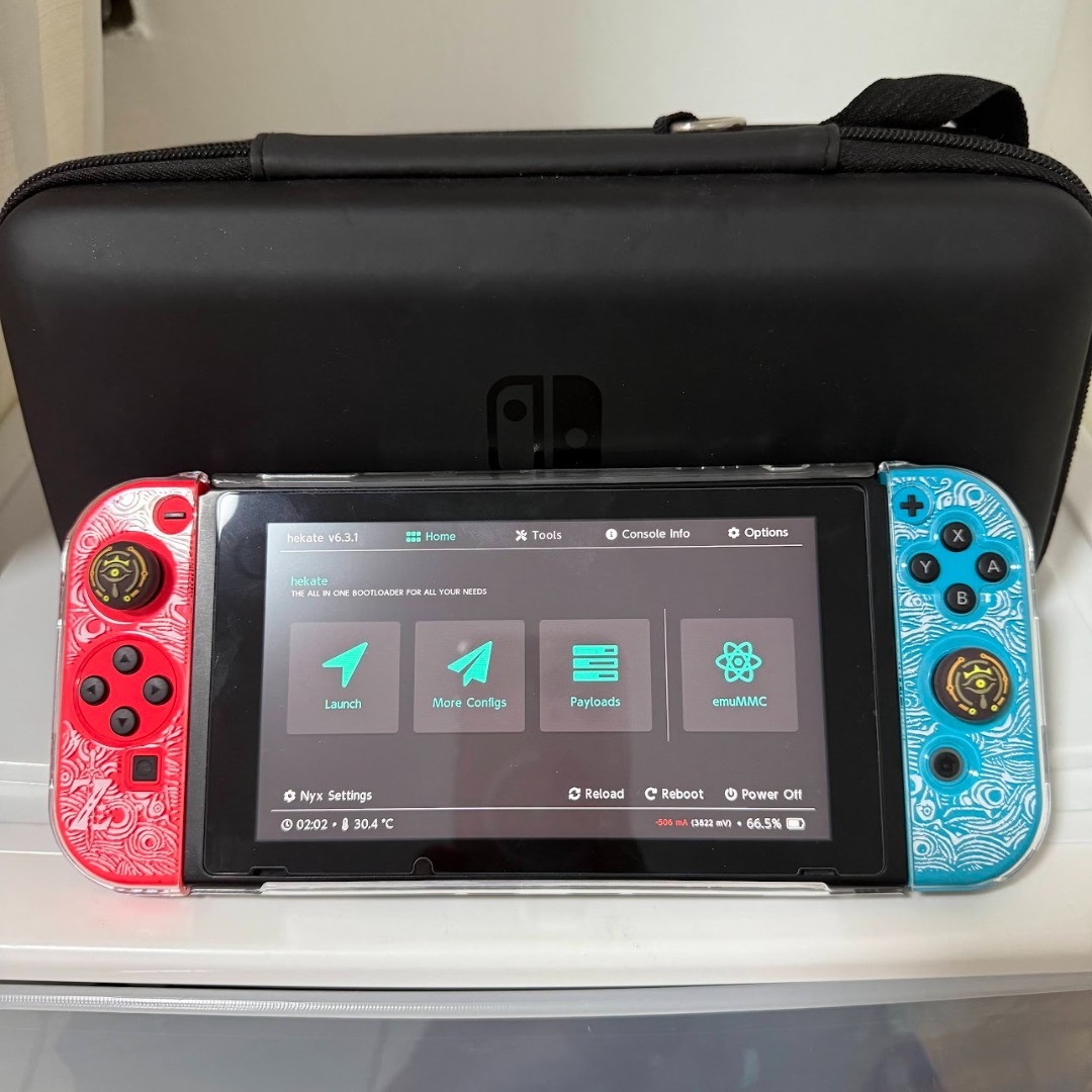 Modded Nintendo Switch 256GB, Video Gaming, Video Game Consoles ...