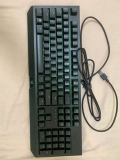 Razer BlackWidow Essential雷蛇黑寡婦鍵盤