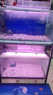 (Category: ) located in . Submitted by hulma_decor (Listing ID 1388171296, Image 1). Description: .