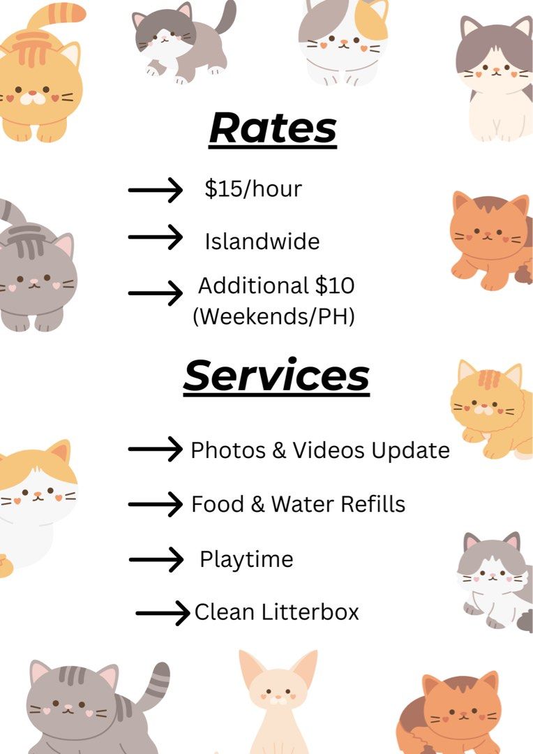 Affordable Cat Sitter, Lifestyle Services, Pet Care Services on
