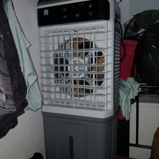(Category: ) located in . Submitted by skamran34632191 (Listing ID 1388268768, Image 1). Description: .