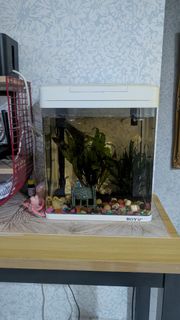 (Category: ) located in . Submitted by itsme5 (Listing ID 1388302292, Image 1). Description: .