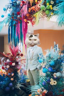 （分類：）位於 。 由 love_cat_cat 提交（商品編號 1388386873，圖片 1）。簡介： 。