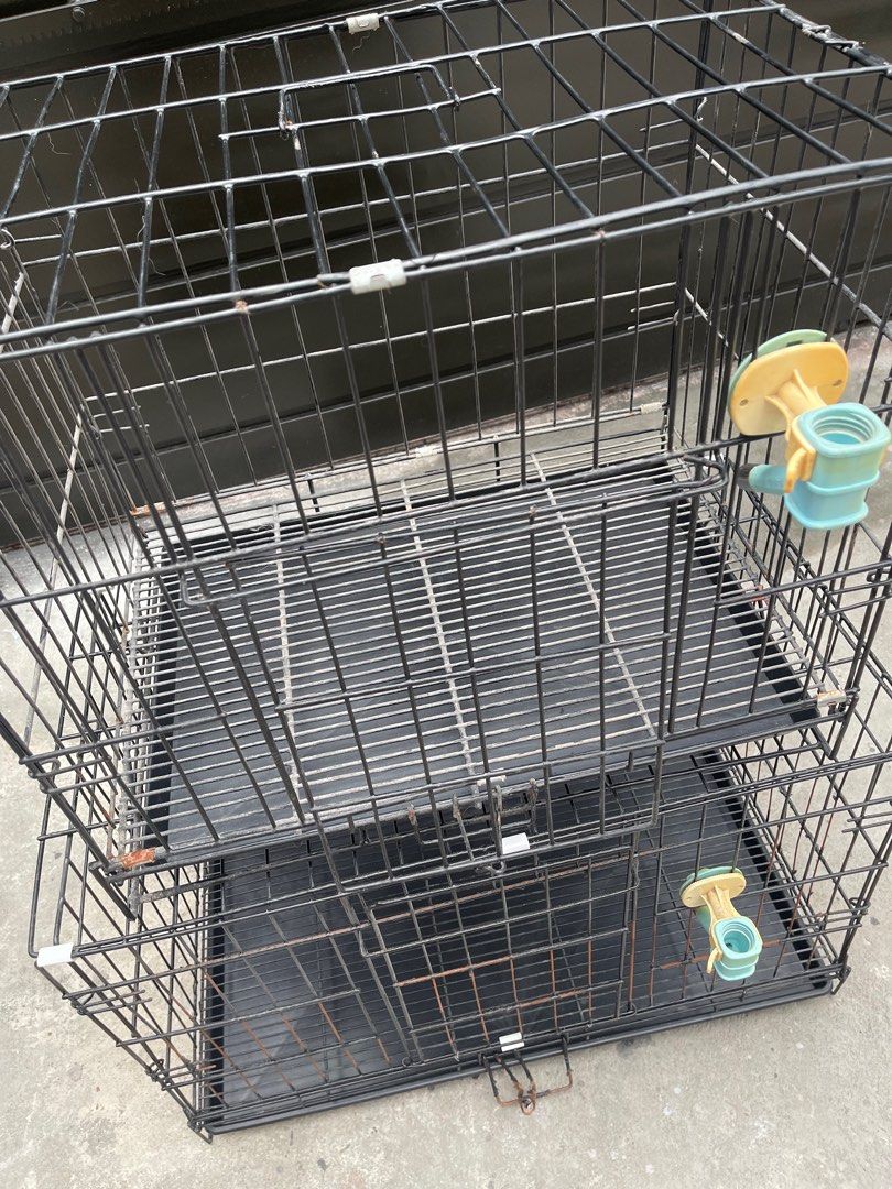 Dog Cage (L ans 2XL) (Category: Homes & Other Pet Accessories) located in Valenzuela. Submitted by patpeev (Listing ID 1388362270, Image 3). Description: For sale ✅ Large Dog Cage - 23x16x19 inches - Used - Collapsible - With poop tray and water feeder - Issue: broken door latch (encircled) - Php 300 ❌ 2XL Dog Cage *SOLD* - 30x20x22.5 inches - Used - Collapsible - With poop tray and water feeder - Php 700 RFS: Decluttering 📍Marulas, Valenzuela C