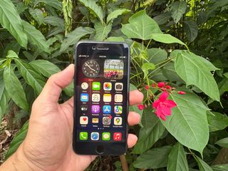 (Category: ) located in . Submitted by igreenclassic (Listing ID 1388419911, Image 1). Description: .