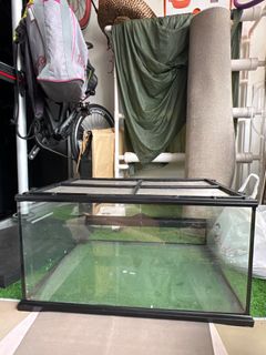 (Category: ) located in . Submitted by gatewaysold (Listing ID 1388570500, Image 1). Description: .