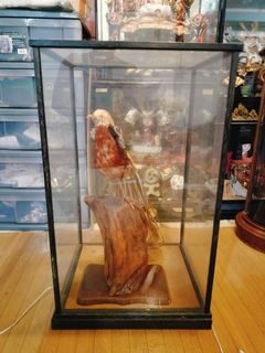 (Category: ) located in . Submitted by lmga0731 (Listing ID 1388616031, Image 1). Description: .