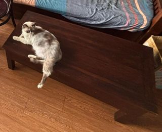 (Category: ) located in . Submitted by mssun99 (Listing ID 1388699718, Image 1). Description: .