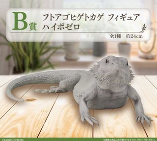 （分類：）位於 。 由 royalshark_d7c8cf 提交（商品編號 1388852713，圖片 1）。簡介： 。