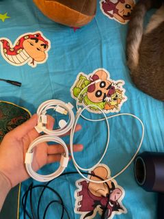 Apple 充電線原裝