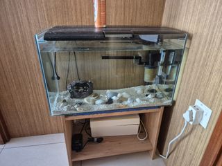 (Category: ) located in . Submitted by sri.jasmine (Listing ID 1388887956, Image 1). Description: .