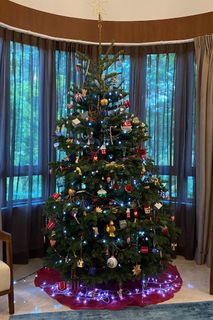 (Category: ) located in . Submitted by antonia_cf (Listing ID 1388758827, Image 1). Description: .