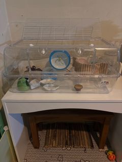 (Category: ) located in . Submitted by cherylkohck (Listing ID 1388871564, Image 1). Description: .