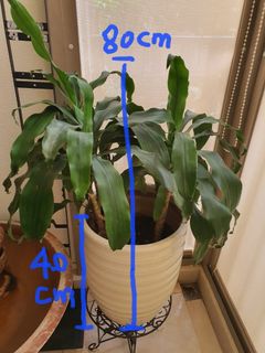 (Category: ) located in . Submitted by wmp123 (Listing ID 1388747076, Image 1). Description: .