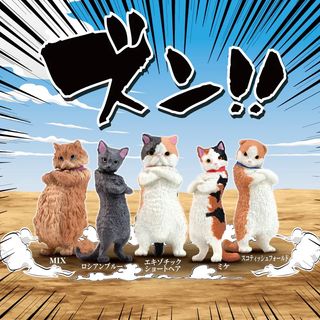 （分類：）位於 。 由 x.chch.x 提交（商品編號 1389090778，圖片 1）。簡介： 。