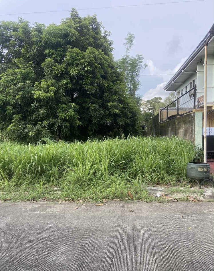 (Category: ) located in . Submitted by genjimenez (Listing ID 1389045889, Image 1). Description: .