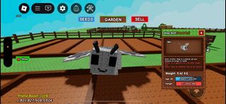 (Category: ) located in . Submitted by boyanz (Listing ID 1389105406, Image 1). Description: .
