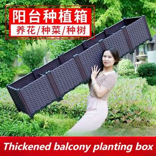 (Category: ) located in . Submitted by onlyqmall (Listing ID 1388923153, Image 1). Description: .