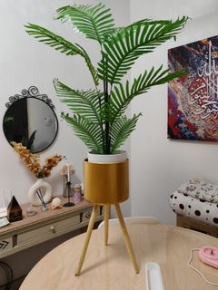 (Category: ) located in . Submitted by iskhmz (Listing ID 1389104098, Image 1). Description: .