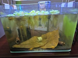 (Category: ) located in . Submitted by bonus11 (Listing ID 1389003650, Image 1). Description: .
