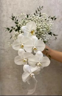(Category: ) located in . Submitted by wgifts (Listing ID 1389220036, Image 1). Description: .