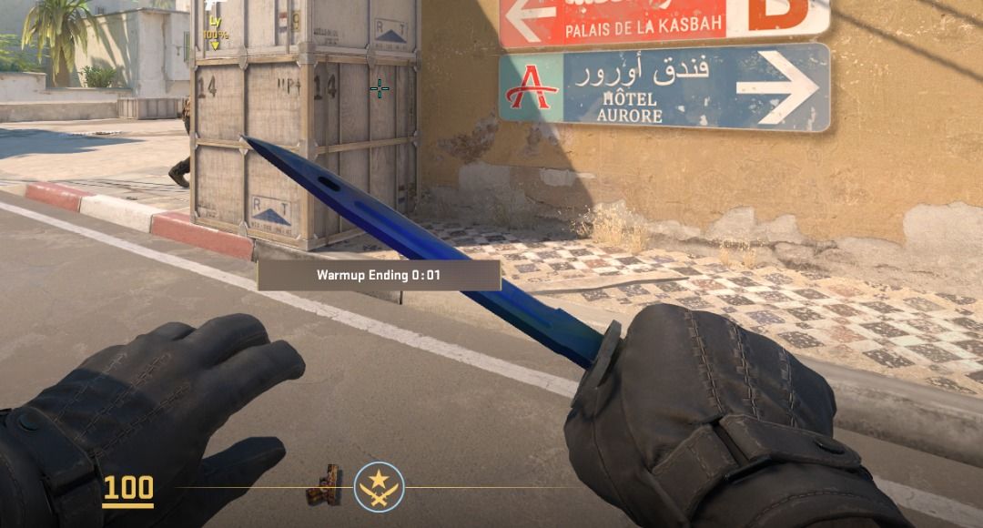 CS:GO Bayonet Doppler Factory New, Video Gaming, Gaming Accessories, In ...