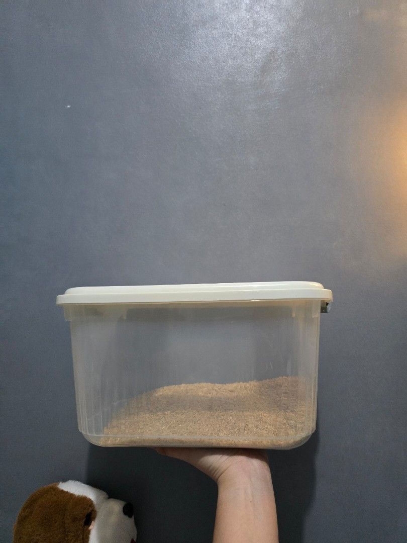 Rice dispenser (Category: Pitchers & Dispensers) located in Manila. Submitted by kathnise_ (Listing ID 1389261253, Image 1). Description: rfs: decluttering 5-15kg of rice.