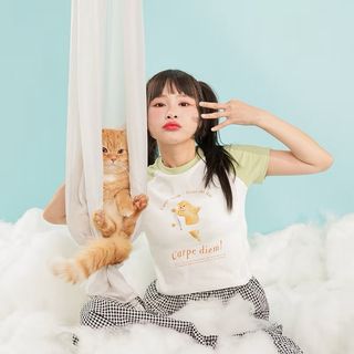 由 aaaliceeeee (刊登 ID 1389245389，圖片 1) 提交，位於 的 (類別：)，說明：。