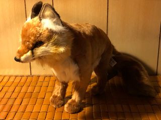 （分類：）位於 。 由 uncommonallies 提交（商品編號 1389431121，圖片 1）。簡介： 。