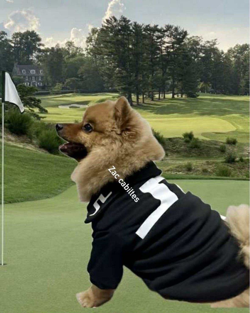 JL shirt for dog (Category: Homes & Other Pet Accessories) located in Cainta. Submitted by trufflecake (Listing ID 1389332765, Image 3). Description: JL SHIRT for pets Available in Black S-M-L-XL P600 XXL-XXXL P650 DM for orders.