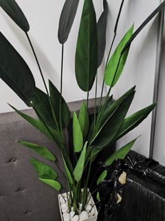 (Category: ) located in . Submitted by khairolikhwan (Listing ID 1389439836, Image 1). Description: .