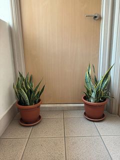 (Category: ) located in . Submitted by unclegao (Listing ID 1389343614, Image 1). Description: .