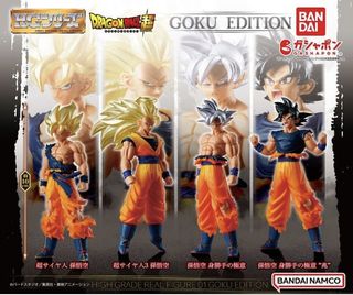 S.H.Figuarts 孫悟空 ＆ 龍 -40周年記念Edition- 未開封 プレミアムバンダイ限定 S.I.C. 仮面ライダーバース w17b8b5