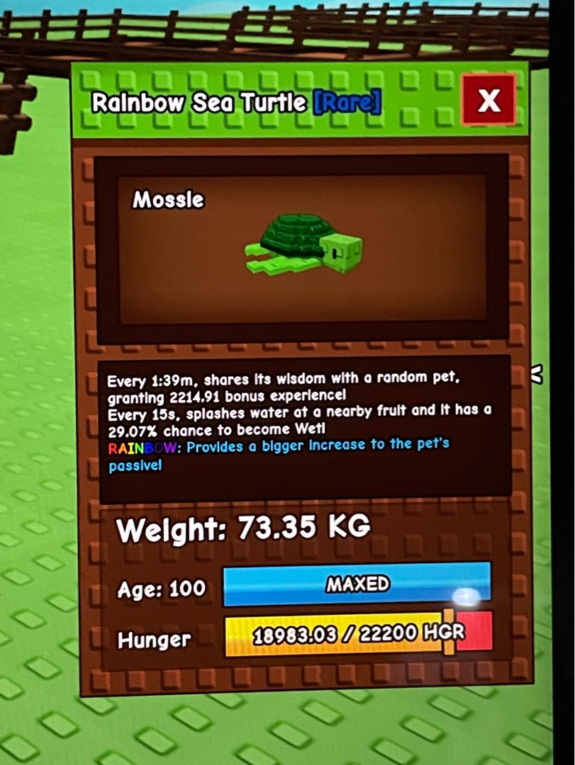 Turtle Max Age TITAN RAINBOW TURTLE MAX AGE GROW A GARDEN ROBLOX, Video Gaming, Gaming ...