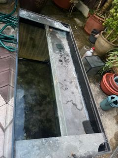 (Category: ) located in . Submitted by berylily (Listing ID 1389597521, Image 1). Description: .