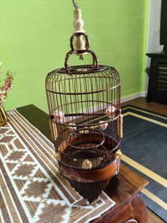 (Category: ) located in . Submitted by birdstuff72 (Listing ID 1389527691, Image 1). Description: .