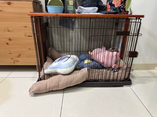 由 52mei75406 (刊登 ID 1384606562，圖片 1) 提交，位於 的 (類別：)，說明：。
