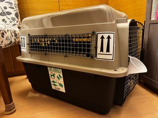 （分類：）位於 。 由 cherylc121 提交（商品編號 1384589168，圖片 1）。簡介： 。